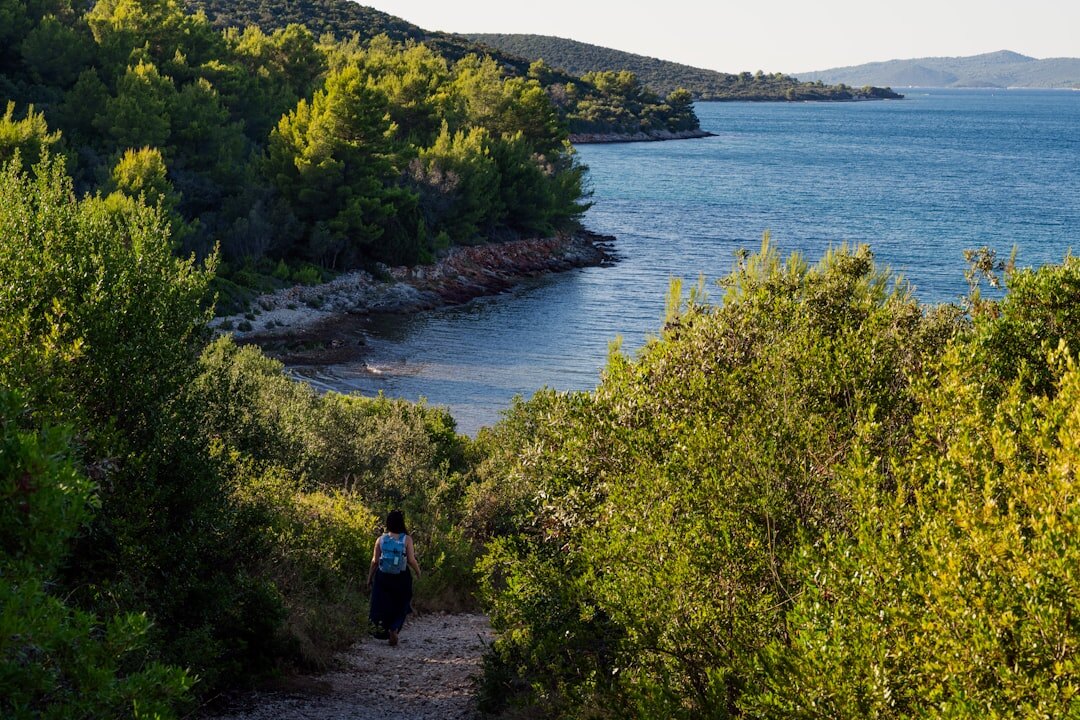 Quiet forest path in inland Croatia
